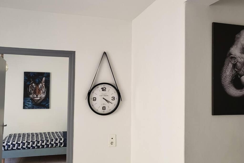 Appartement Chaleureux, Proche De La Gare Perpiñán Exterior foto